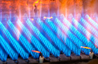 Hamstead gas fired boilers